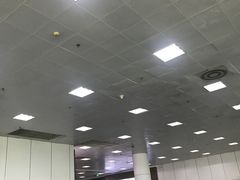 -国际邮轮中心码头(厦鼓码头)
