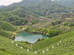 -龙坞茶村