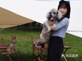 懒人最佳露营地，狗狗的绝佳乐园