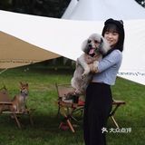 懒人最佳露营地，狗狗的绝佳乐园