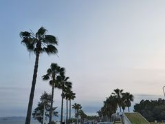 -椰风寨