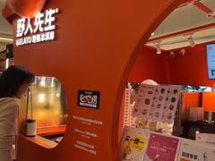 -野人先生现做冰淇淋(北京王府井东方新天地店)
