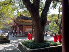 -普陀山风景名胜区-法雨禅寺