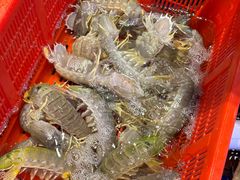 -金悦轩海鲜酒家(拱北店)