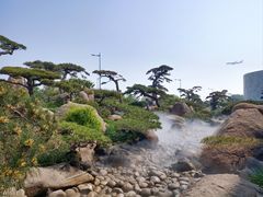 -罗红摄影艺术馆