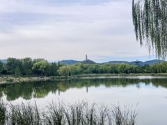 -北坞公园
