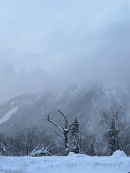 -大秃顶子山