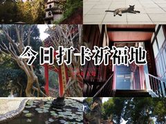 -都江堰普照寺
