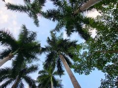 -宴悦海鲜餐厅·游水海鲜·牛排(亚龙湾瑞吉店)