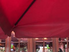 -Boxing Cat Brewery拳击猫精酿啤酒馆(思南公馆店)