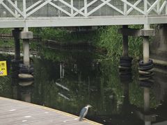 -兰溪青年公园