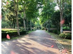 -滨湖塘西河公园