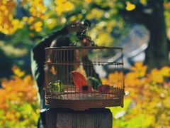 -潭柘寺景区