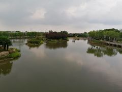 -上海鲜花港