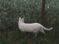 -成都杜甫草堂博物馆