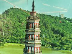 -大榕树下顺德菜(融创茂店)