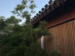 -曲廊院(东四十一条店)