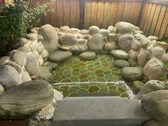 -诗经里