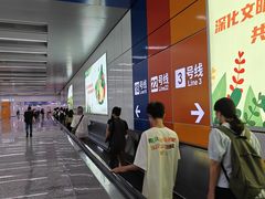 -番禺广场(市桥街道)