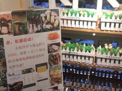 -菌极鲜野生菌火锅店(阳明祠店)