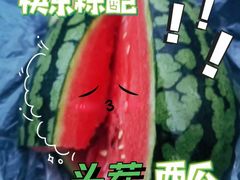 -庞各庄翠芳园西瓜蔬菜基地采摘园