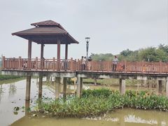 -立新湖公园
