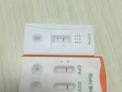 -佳怡动物医院·平价24小时·猫专科骨外科