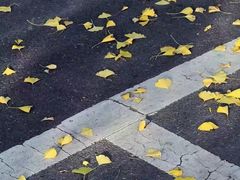 -贵阳市花溪国家城市湿地公园