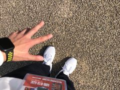 -大明宫国家遗址公园·御道广场