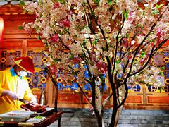 -北平楼·烤鸭·北京菜(牡丹园店)
