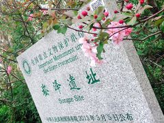 -上海崧泽遗址博物馆