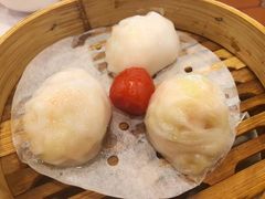 -糖朝(尖沙咀店)