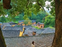 -杨家堂村