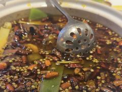 -羊门客在·烤盐池滩羊·川菜