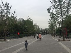 -迎泽公园