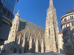 -斯蒂芬主教座堂(Stephansdom)
