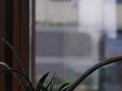 -sugarman espresso素饮糖人高新咖啡工厂