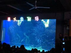 -邯郸海洋世界