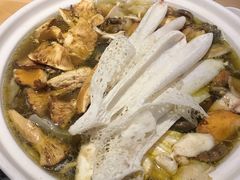 -滇铺子·云南特色菜·第九届野生菌美食节(东风东路c86店)