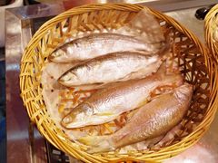 -长平老姿娘夜粥(平东一街店)