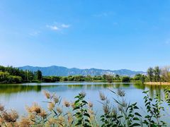 -翠湖国家城市湿地公园