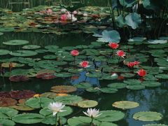 -国家植物园南园