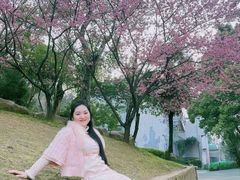 -武汉大学-樱园