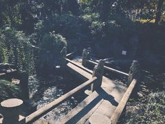 -秋霞圃