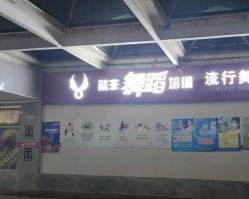 -欲非舞蹈