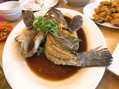 -大树下海鲜饭店