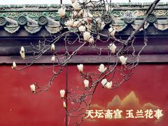 -天坛公园