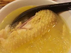 -鲜入围煮花胶鸡海鲜火锅