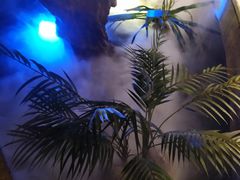 -佬麻雀·新湘菜(珠海金发购物中心店)
