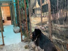 -北京动物园-畅观楼